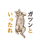 アクロバティックねこ（個別スタンプ：20）