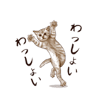 アクロバティックねこ（個別スタンプ：21）