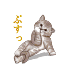 アクロバティックねこ（個別スタンプ：27）