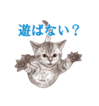 アクロバティックねこ（個別スタンプ：37）