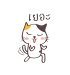 Little meow cat 2（個別スタンプ：8）