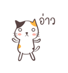 Little meow cat 2（個別スタンプ：34）
