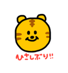 トラ and たぬき。（個別スタンプ：5）
