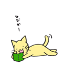 笑ねこと仲間たち～笑ねこシリーズ①～（個別スタンプ：13）