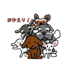 俺の犬達 2（個別スタンプ：40）