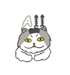 A-Z Cat's Words（個別スタンプ：1）