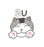 A-Z Cat's Words（個別スタンプ：32）