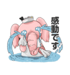 アイヤラーとクマジー（個別スタンプ：10）