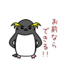 ペンギン天国（個別スタンプ：24）