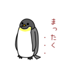 ペンギン天国（個別スタンプ：36）