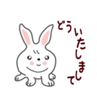 ウサギが好き！（個別スタンプ：14）