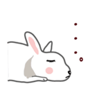 ウサギが好き！（個別スタンプ：17）