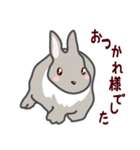 ウサギが好き！（個別スタンプ：18）
