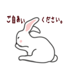 ウサギが好き！（個別スタンプ：39）
