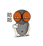 Flies diary（個別スタンプ：16）