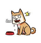 柴犬漫画（個別スタンプ：2）