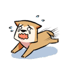 柴犬漫画（個別スタンプ：18）