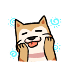柴犬漫画（個別スタンプ：20）