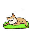柴犬漫画（個別スタンプ：24）