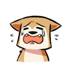 柴犬漫画（個別スタンプ：29）