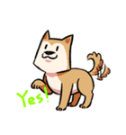 柴犬漫画（個別スタンプ：30）