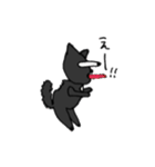 黒猫ちゃんの常套句（個別スタンプ：1）
