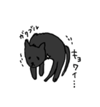 黒猫ちゃんの常套句（個別スタンプ：6）