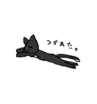 黒猫ちゃんの常套句（個別スタンプ：31）