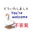 日本語と台湾語と英語を話すアヒル（個別スタンプ：5）