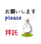 日本語と台湾語と英語を話すアヒル（個別スタンプ：10）