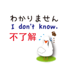 日本語と台湾語と英語を話すアヒル（個別スタンプ：17）