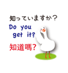 日本語と台湾語と英語を話すアヒル（個別スタンプ：18）