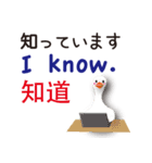 日本語と台湾語と英語を話すアヒル（個別スタンプ：19）