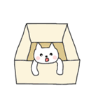 ねこたち（英語）（個別スタンプ：4）