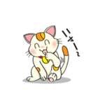 可愛い猫 (日本語)（個別スタンプ：1）