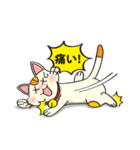 可愛い猫 (日本語)（個別スタンプ：33）