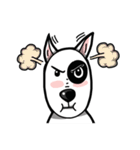 Bull Terrier White Dog（個別スタンプ：6）