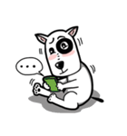 Bull Terrier White Dog（個別スタンプ：31）