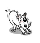 Bull Terrier White Dog（個別スタンプ：38）