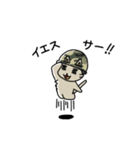 ねこ軍曹（個別スタンプ：14）