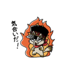 ねこ軍曹（個別スタンプ：19）