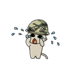 ねこ軍曹（個別スタンプ：37）