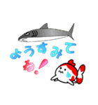 幸せ金魚（個別スタンプ：27）