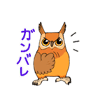 ミミズクさん（個別スタンプ：13）