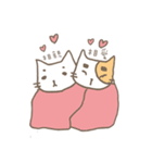 Soft White cats（個別スタンプ：24）