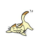 ねこくんといっしょ！2（個別スタンプ：5）