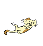 ねこくんといっしょ！2（個別スタンプ：8）