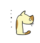 ねこくんといっしょ！2（個別スタンプ：13）