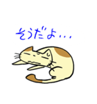 ねこくんといっしょ！2（個別スタンプ：23）