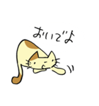 ねこくんといっしょ！2（個別スタンプ：31）